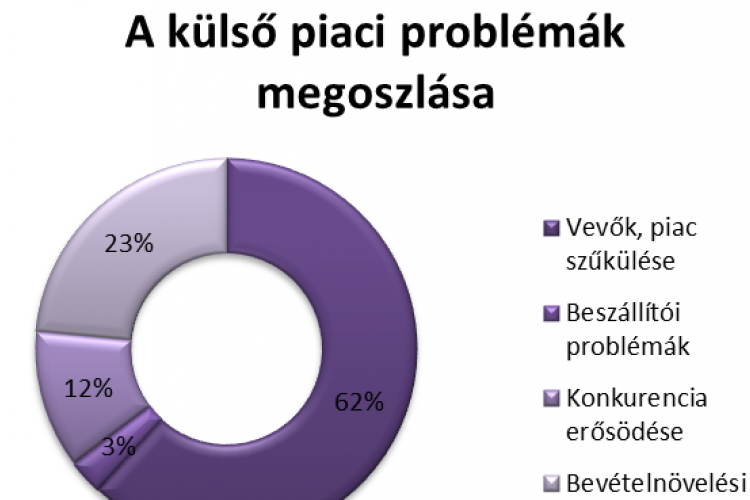 A belső kihívások jobban fékezik a magyar cégeket, mint a válság