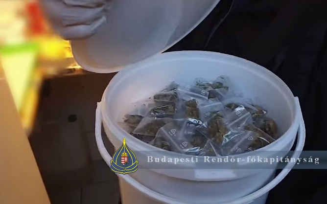 Szó szerint piacra dobták a kábítószert