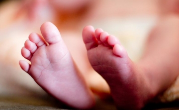 Csecsemőt tettek a fővárosi Madarász utcai kórház babamentő inkubátorába