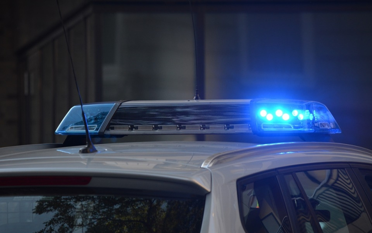 Bőröndbe bújtatva próbált átjuttatni a határon egy tinédzsert egy nő