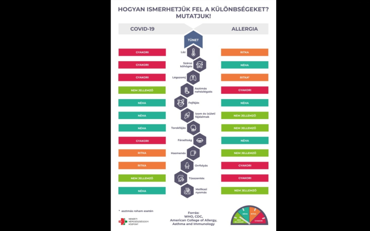 Ezek a koronavírus és az allergia tünetei közti különbségek