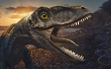Kilencvenmillió éves raptorcsontokat találtak az ELTE kutatói Ausztriában