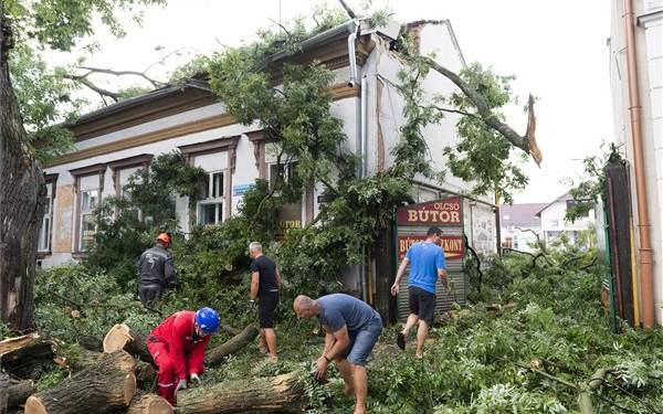 Több mint 1300 esethez riasztották a tűzoltókat vasárnap