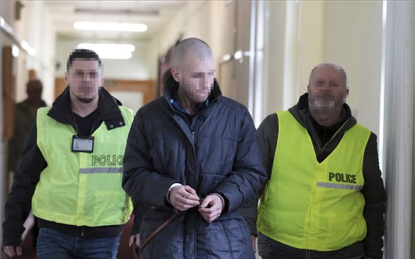 Előzetesben a rákóczifalvai kettős gyilkosság gyanúsítottja