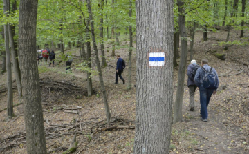 Rekordot döntött idén a Pilisi Parkerdő látogatottsága