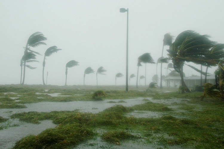Florida minden idők egyik legpusztítóbb hurrikánjára készül
